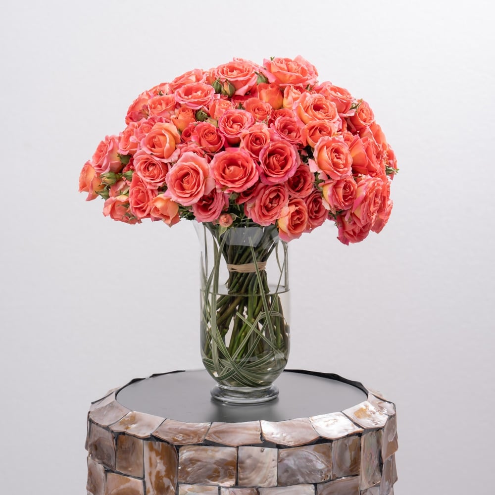 DSC07539.jpg DSC07539