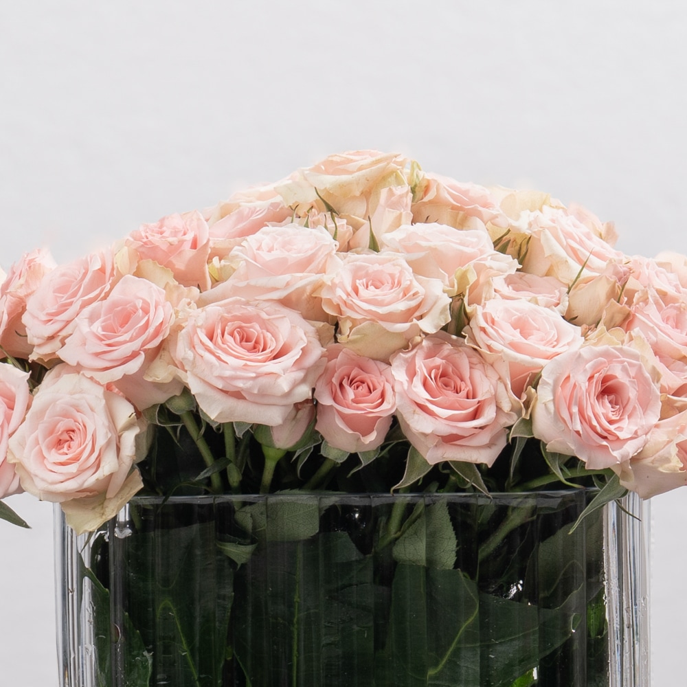 DSC07565-2.jpg DSC07565 2