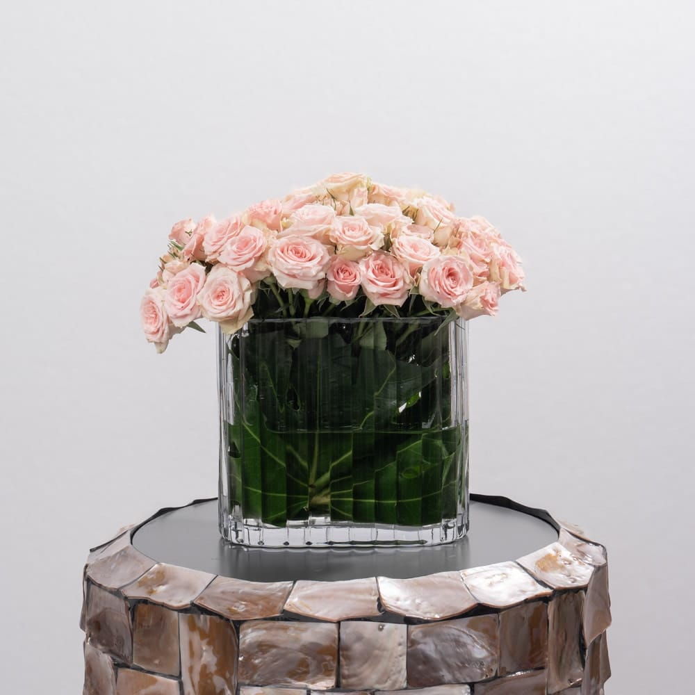 DSC07565.jpg DSC07565