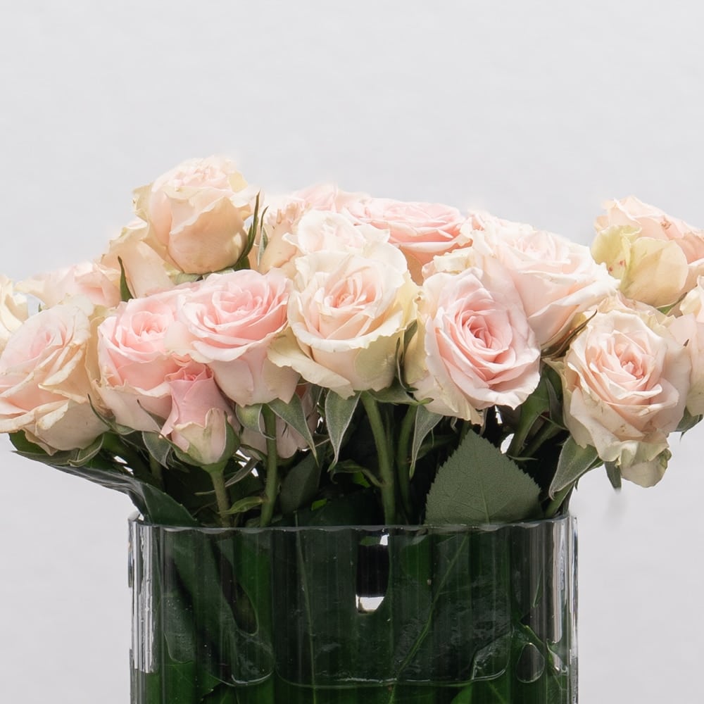 DSC07570-2.jpg DSC07570 2