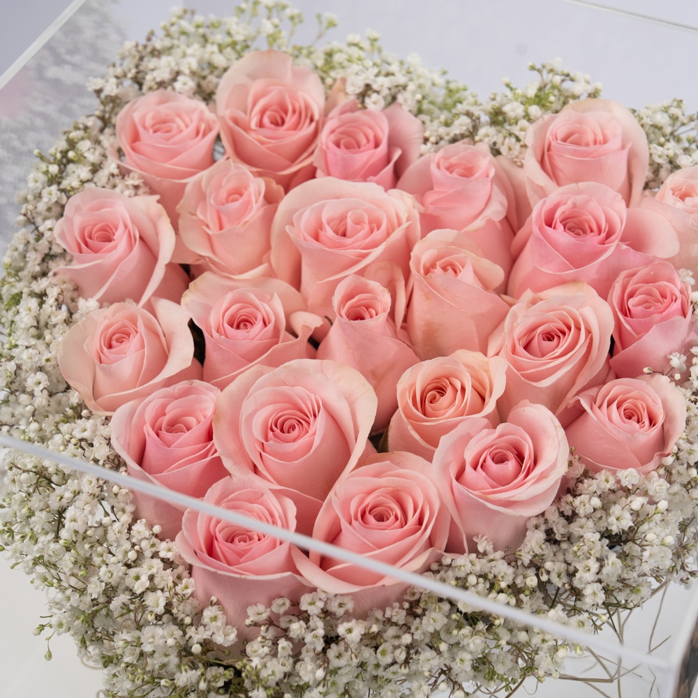 DSC04314.jpg DSC04314