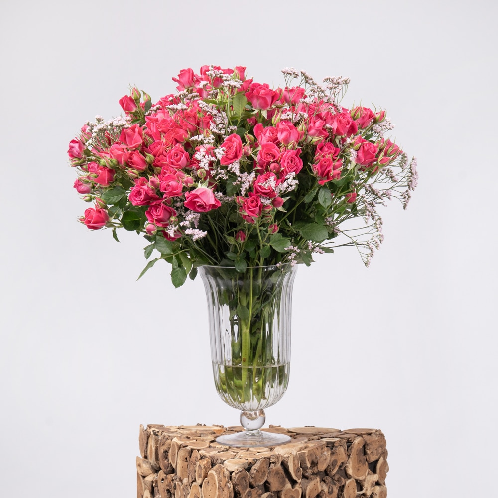 DSC04433.jpg DSC04433