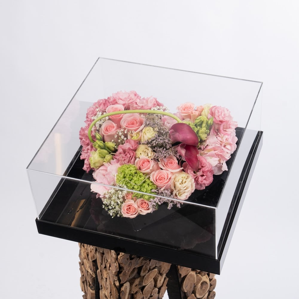 DSC04488.jpg DSC04488