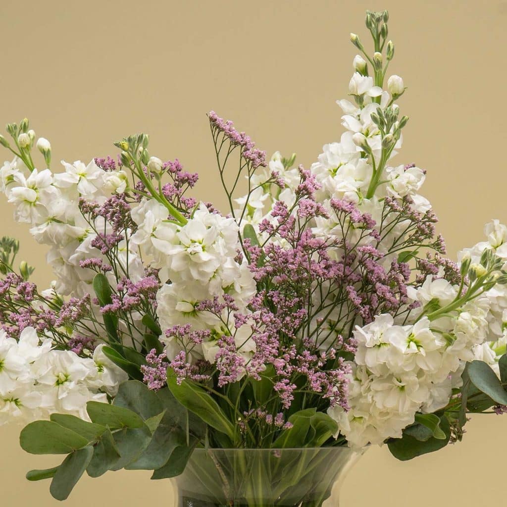 Perfect Bridal Bouquet Ideas 13 DSC06864 2